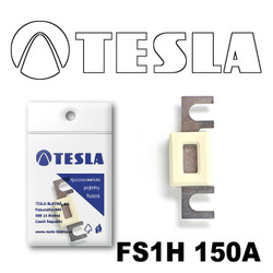 �������������� Tesla �������������� ��������� � ���������� 150� | ������� FS1H150A