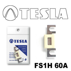 �������������� Tesla �������������� ��������� � ���������� 60� | ������� FS1H60A
